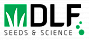 DLF